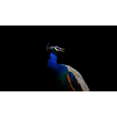 Flash of Colors Gold Ornate Wood Framed Art Print with Double Matting by Verma, Mayank