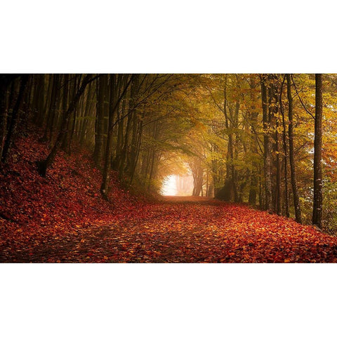 Autumn Gold Ornate Wood Framed Art Print with Double Matting by Calin, Flegner