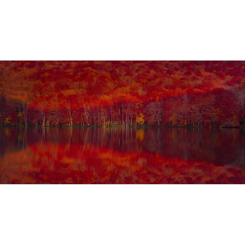 Burning red leaves White Modern Wood Framed Art Print by Chen, Liang