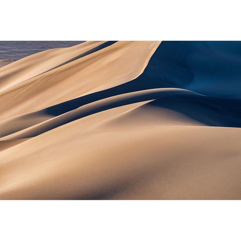 Desert Black Modern Wood Framed Art Print by Razavi, Mahshad