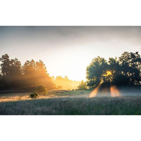 Summer field with sunrays Black Modern Wood Framed Art Print with Double Matting by Lindsten, Christian