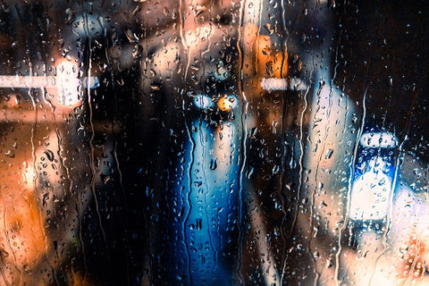 Rain Drops Black Ornate Wood Framed Art Print with Double Matting by Nishishimamoto, Gen