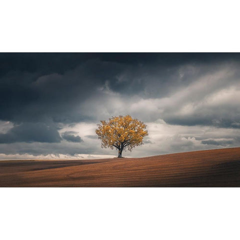 Loneliness Black Modern Wood Framed Art Print by De Franzoni, Thomas