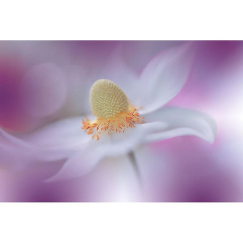 Rain Of Light...III Black Modern Wood Framed Art Print by Nan, Juliana