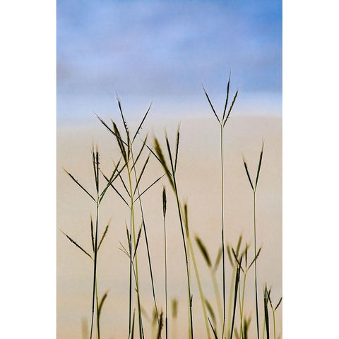 Serenity Black Modern Wood Framed Art Print by Erkmen, Ugur