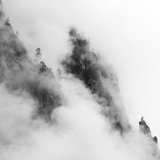 Image Only