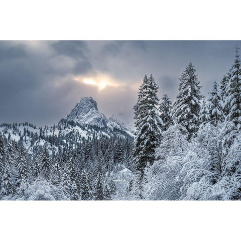 The alpine freshness Black Modern Wood Framed Art Print with Double Matting by Gialopoulos, Anastasios