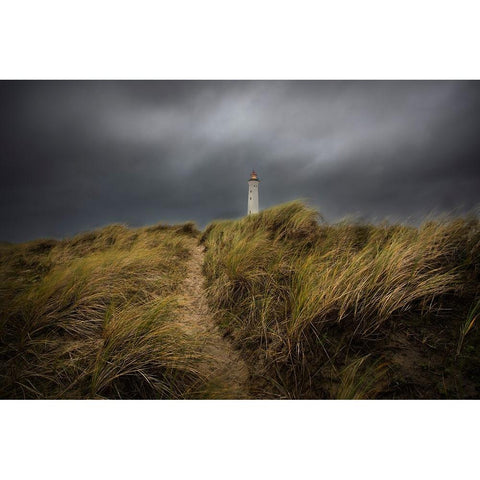 Lyngved Black Modern Wood Framed Art Print with Double Matting by Gustafson Pro, Clas