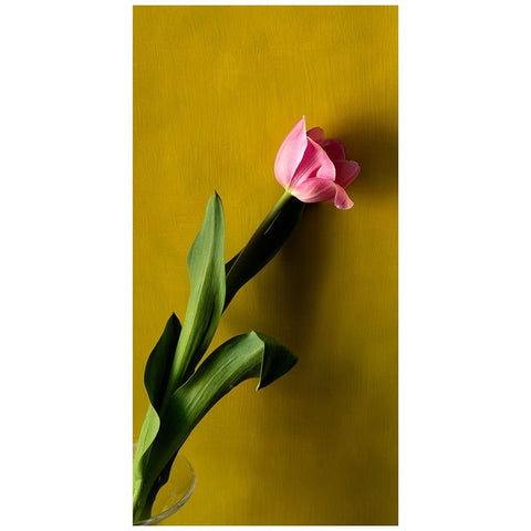 Tulip1 Gold Ornate Wood Framed Art Print with Double Matting by De Malleray, Delphine