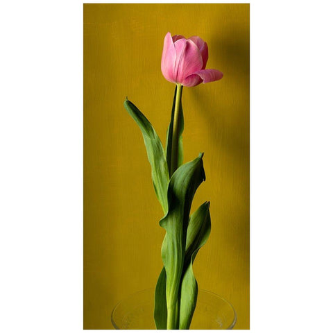 Tulip3 Gold Ornate Wood Framed Art Print with Double Matting by De Malleray, Delphine