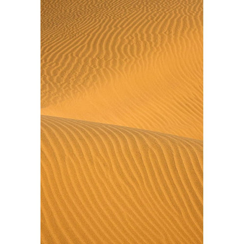 kavir abuzid White Modern Wood Framed Art Print by Farhadsehat
