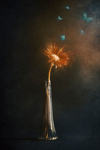 Peaceful Moments White Modern Wood Framed Art Print with Double Matting by Kiral, Cicek