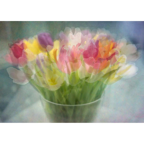 Tulips Black Modern Wood Framed Art Print with Double Matting by Holmstrom, Katarina