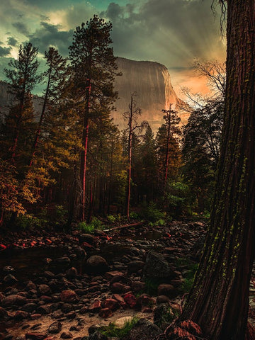 Yosemite 6 Black Ornate Wood Framed Art Print with Double Matting by Moshavash, Pirouz