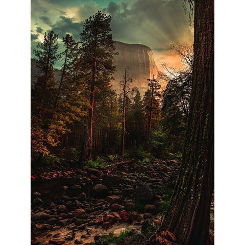 Yosemite 6 White Modern Wood Framed Art Print by Moshavash, Pirouz
