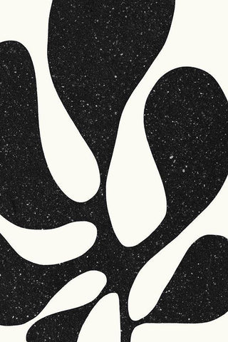 Crazy Plant No 2 Black Ornate Wood Framed Art Print with Double Matting by Sawall, Anastasia