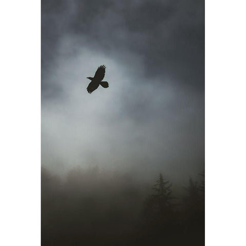 In Flight Gold Ornate Wood Framed Art Print with Double Matting by Mossholder, Tim