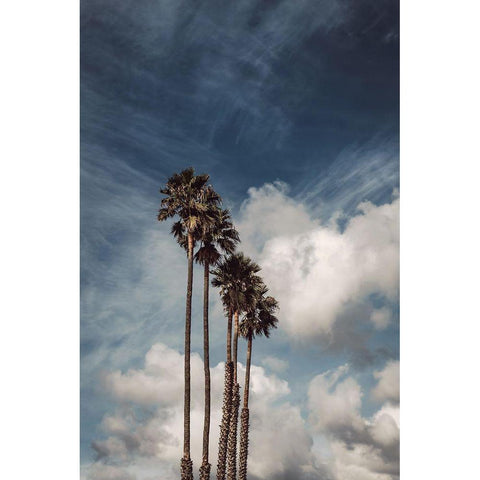 Palms and Clouds White Modern Wood Framed Art Print by Mossholder, Tim