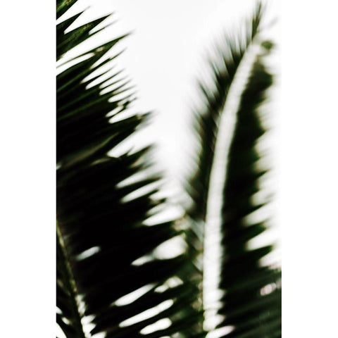 Palm Branches Black Modern Wood Framed Art Print by Mossholder, Tim