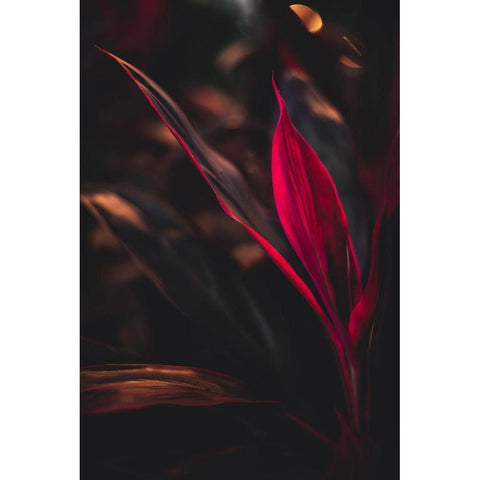 Red Plan at Dusk Black Modern Wood Framed Art Print with Double Matting by Mossholder, Tim