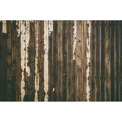 Wood Fence Gold Ornate Wood Framed Art Print with Double Matting by Mossholder, Tim