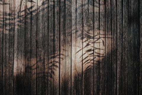 Fence with Shadows White Modern Wood Framed Art Print with Double Matting by Mossholder, Tim