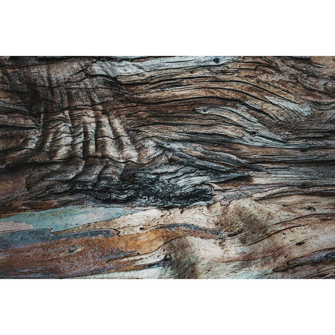 Eucalyptus Texture Black Modern Wood Framed Art Print by Mossholder, Tim