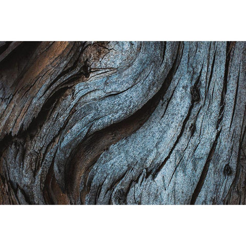 Eucalyptus Texture Black Modern Wood Framed Art Print by Mossholder, Tim