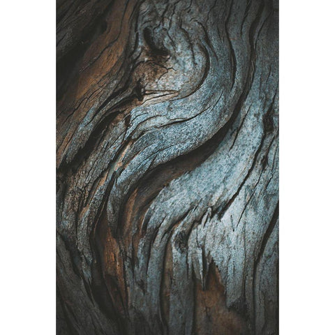 Eucalyptus Texture Black Modern Wood Framed Art Print by Mossholder, Tim