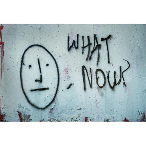 What Now? Black Modern Wood Framed Art Print with Double Matting by Mossholder, Tim