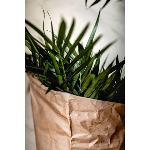 Palms a Craft Paper Black Modern Wood Framed Art Print by Mossholder, Tim