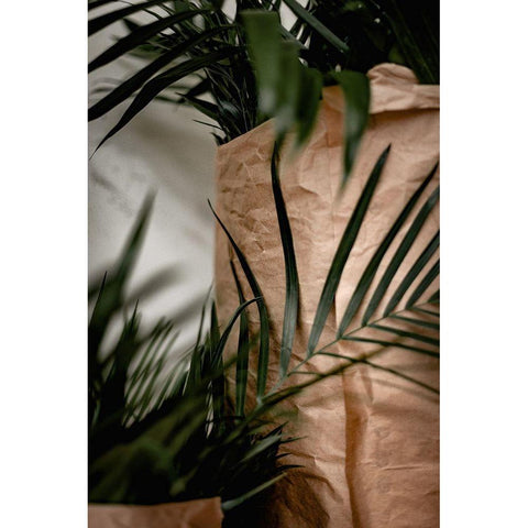 Palms a Craft Paper Gold Ornate Wood Framed Art Print with Double Matting by Mossholder, Tim