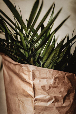 Palms a Craft Paper Black Ornate Wood Framed Art Print with Double Matting by Mossholder, Tim