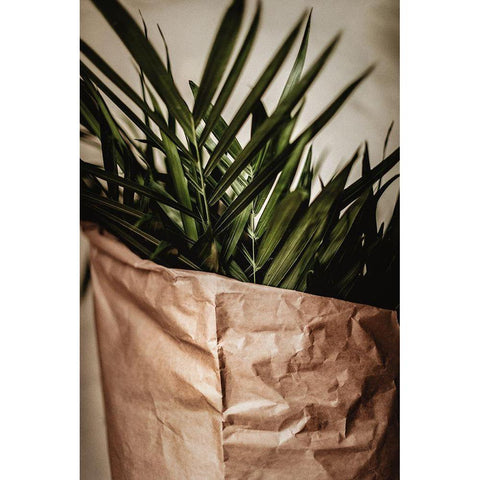 Palms a Craft Paper Black Modern Wood Framed Art Print by Mossholder, Tim