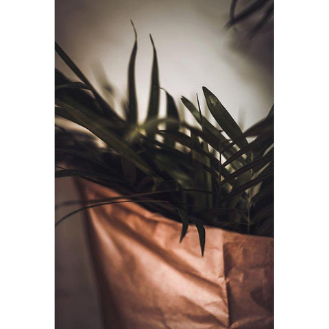 Palms a Craft Paper Black Modern Wood Framed Art Print with Double Matting by Mossholder, Tim