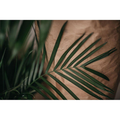 Palms a Craft Paper Black Modern Wood Framed Art Print with Double Matting by Mossholder, Tim