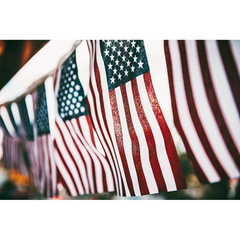 USAmerica White Modern Wood Framed Art Print by Mossholder, Tim