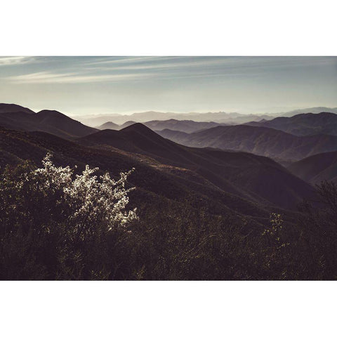 Vista of Hills Black Modern Wood Framed Art Print by Mossholder, Tim
