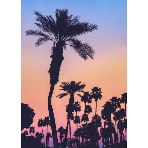 Palms at Sunset Black Modern Wood Framed Art Print with Double Matting by Mossholder, Tim