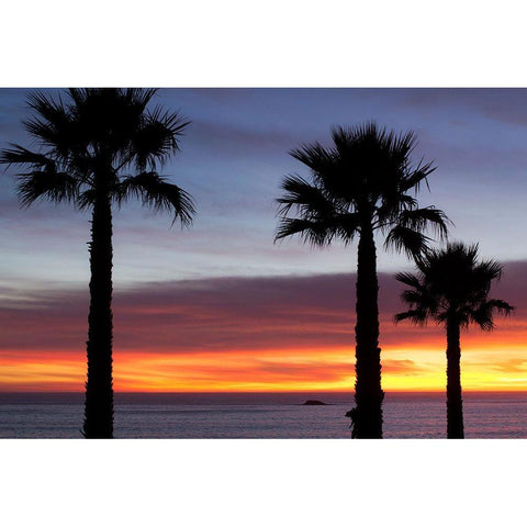 Palms at Sunset Gold Ornate Wood Framed Art Print with Double Matting by Mossholder, Tim