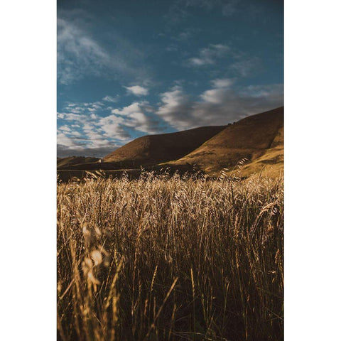 Hillside and Grass Gold Ornate Wood Framed Art Print with Double Matting by Mossholder, Tim