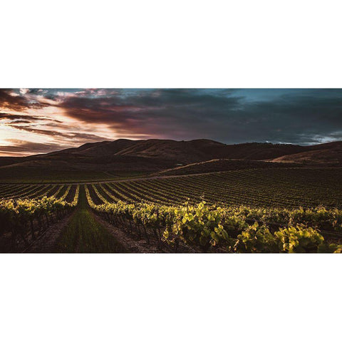 Vineyards Black Modern Wood Framed Art Print with Double Matting by Mossholder, Tim