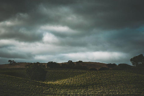 Hillside and Clouds Black Ornate Wood Framed Art Print with Double Matting by Mossholder, Tim