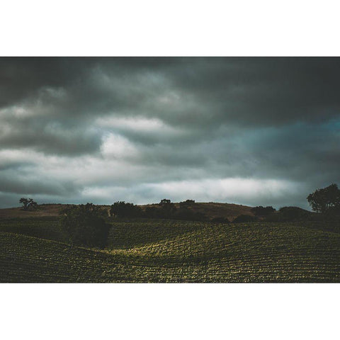 Hillside and Clouds Black Modern Wood Framed Art Print with Double Matting by Mossholder, Tim