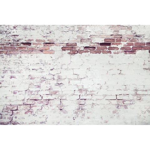 Light Brick Wall Black Modern Wood Framed Art Print with Double Matting by Mossholder, Tim