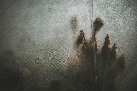 Protected Plants Black Ornate Wood Framed Art Print with Double Matting by Mossholder, Tim