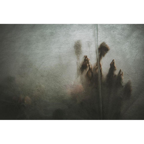 Protected Plants White Modern Wood Framed Art Print by Mossholder, Tim