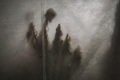 Protected Plants Black Ornate Wood Framed Art Print with Double Matting by Mossholder, Tim