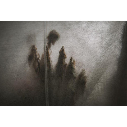 Protected Plants Black Modern Wood Framed Art Print by Mossholder, Tim