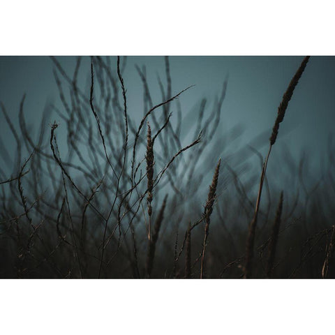 Dark Nature Black Modern Wood Framed Art Print with Double Matting by Mossholder, Tim